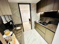 Tembusu Grand (D15), Condominium #426050941